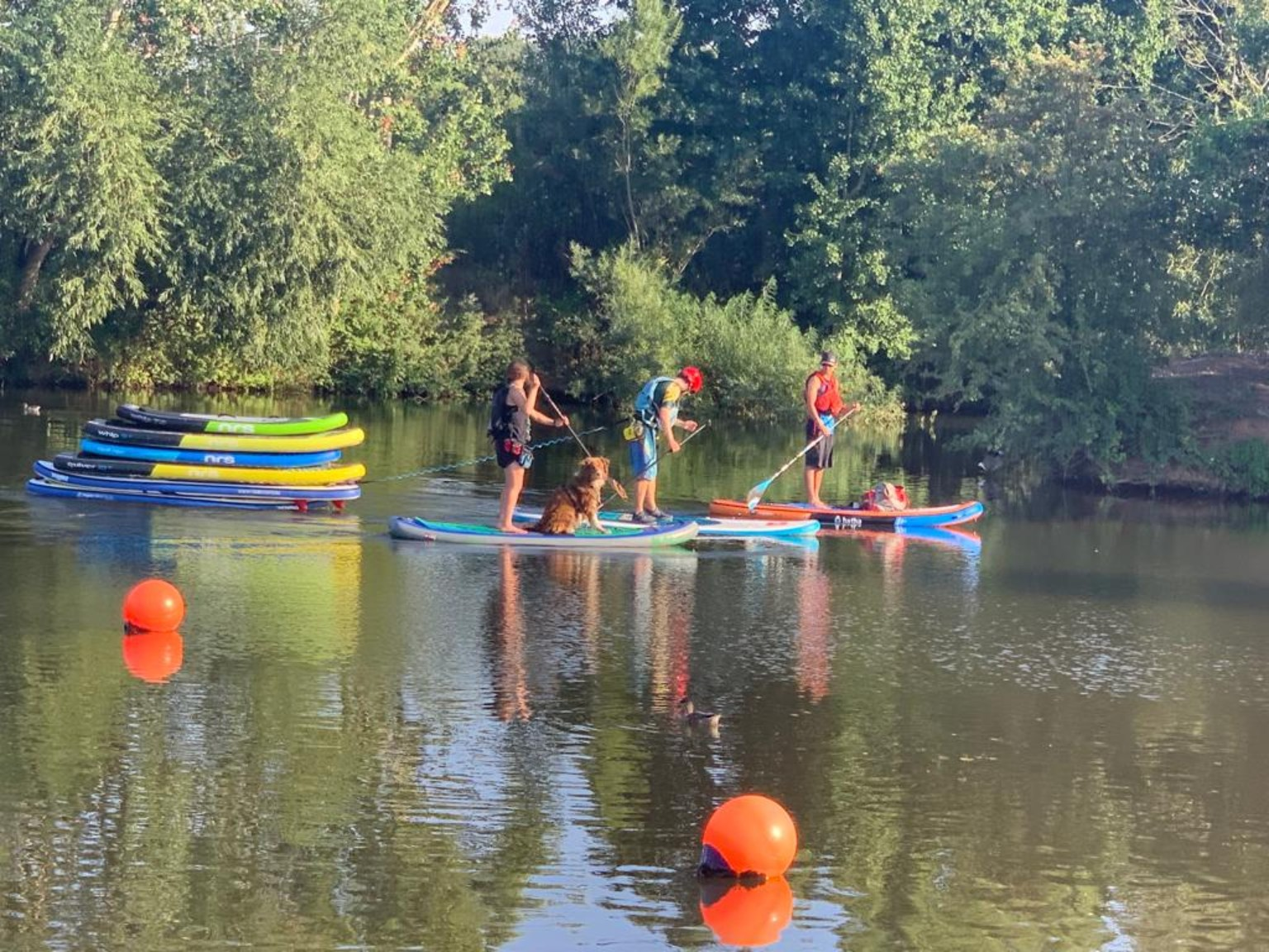 SUP mit Hund auf dem Wasser