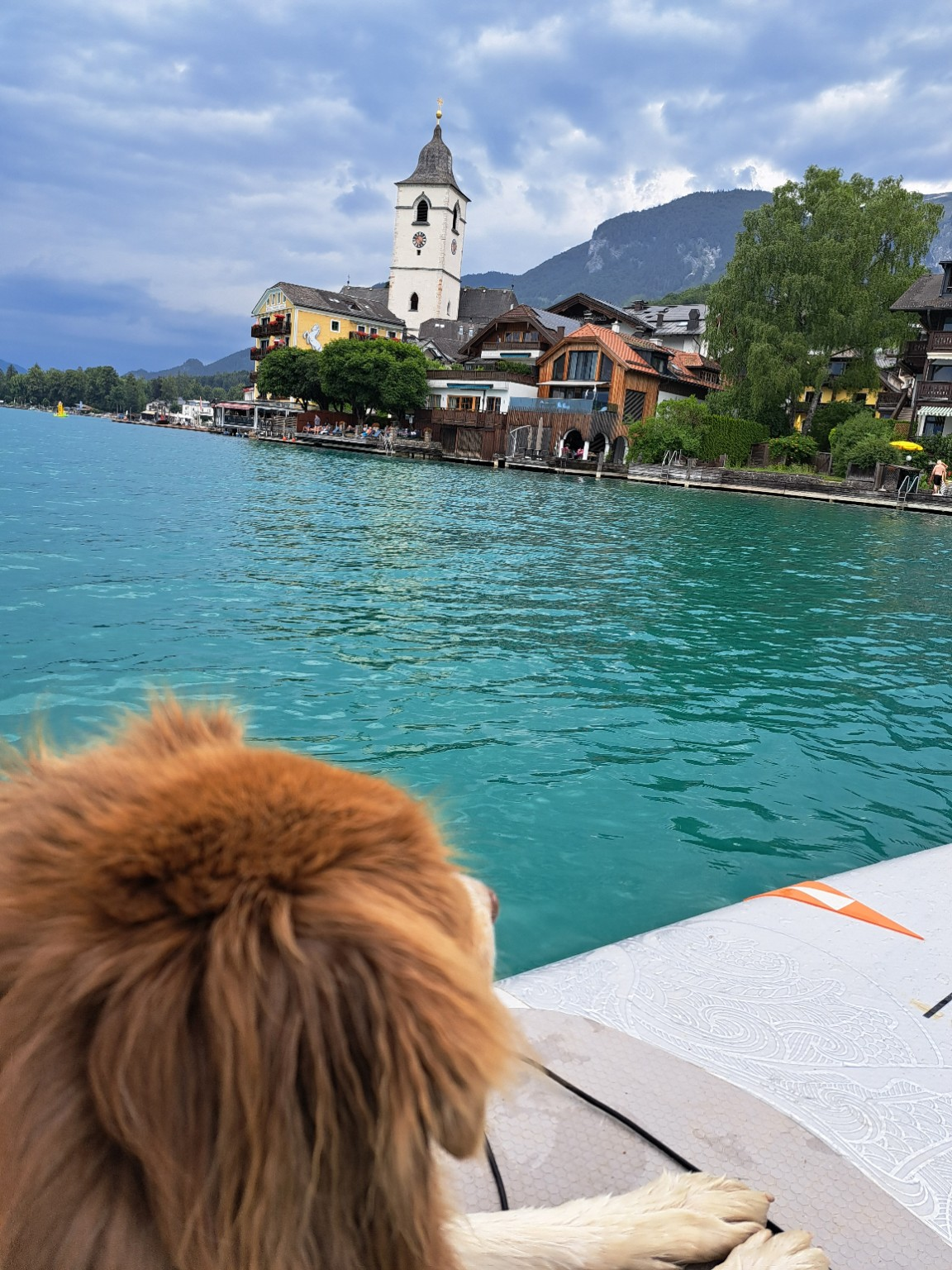 SUP mit Hund am See