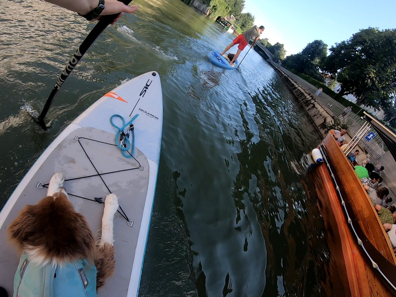 SUP mit Hund in der Stadt