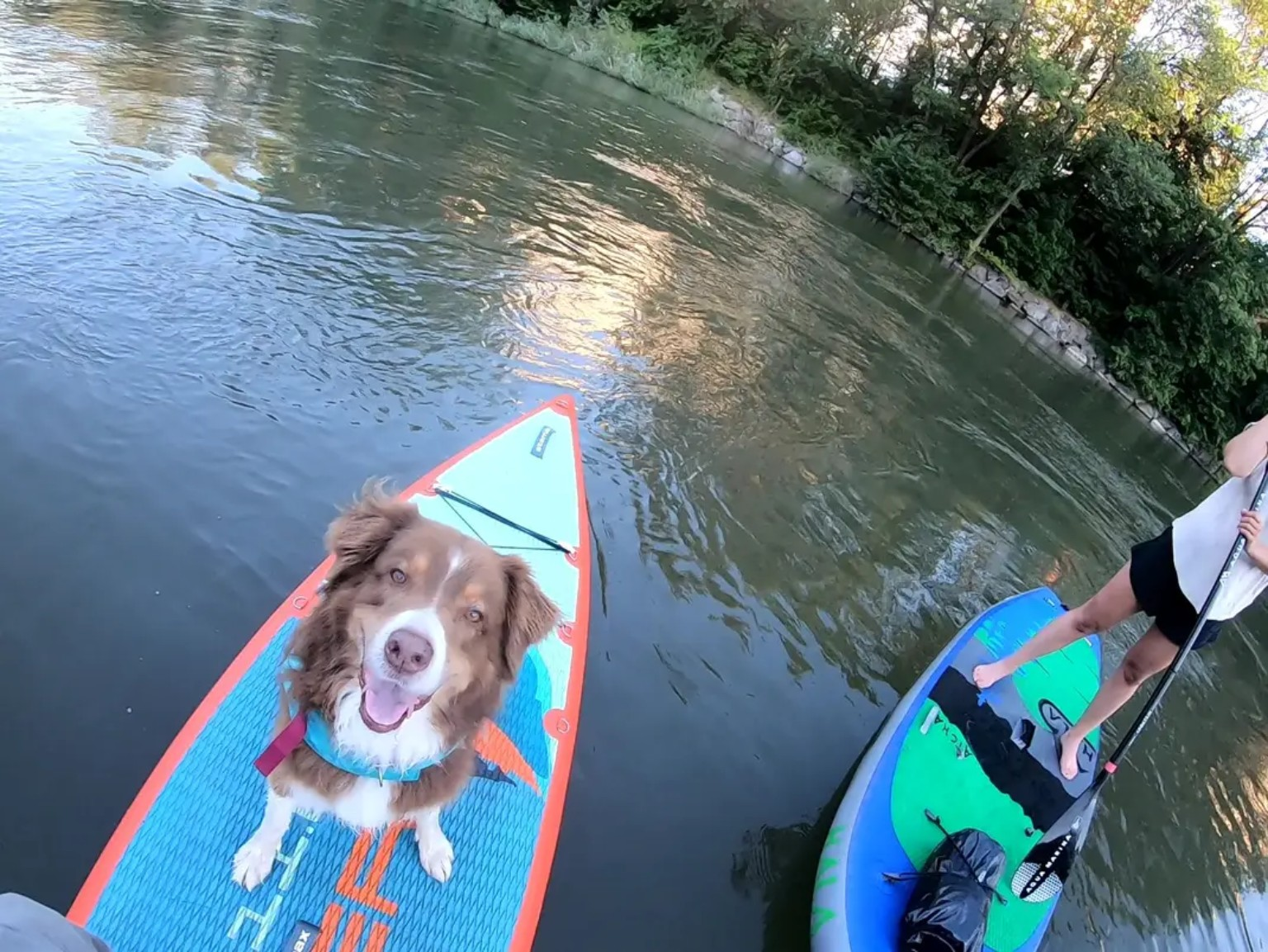 SUPventure auf klarem Wasser